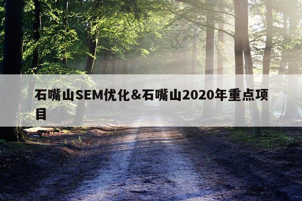 石嘴山SEM优化&石嘴山2020年重点项目