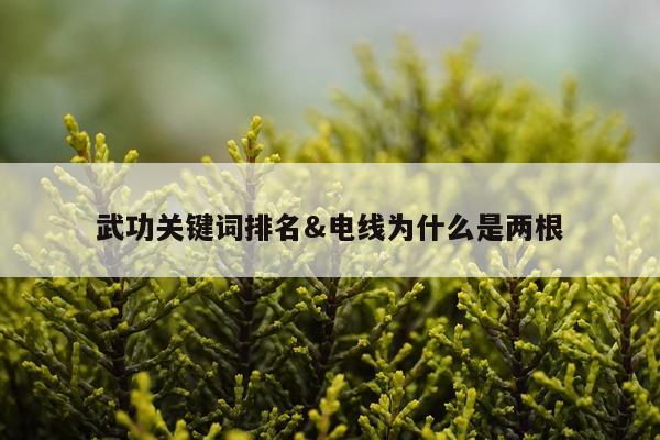 武功关键词排名&电线为什么是两根
