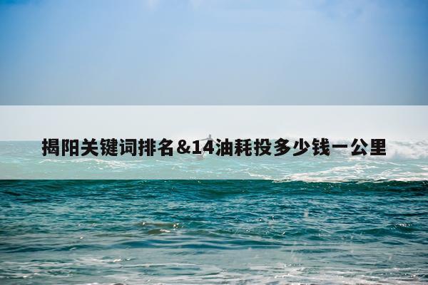 揭阳关键词排名&14油耗投多少钱一公里