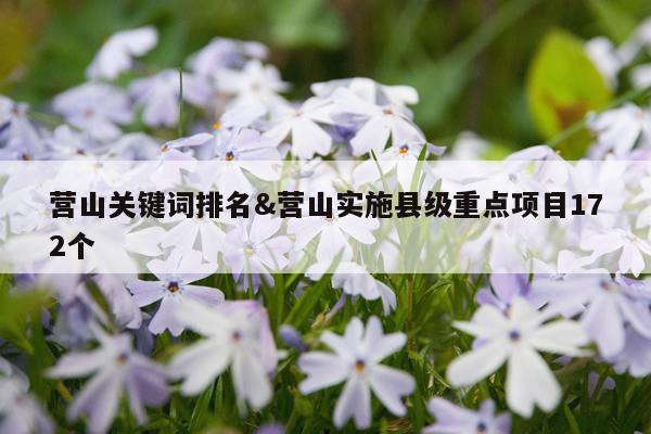 营山关键词排名&营山实施县级重点项目172个