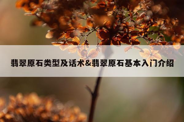 翡翠原石类型及话术&翡翠原石基本入门介绍