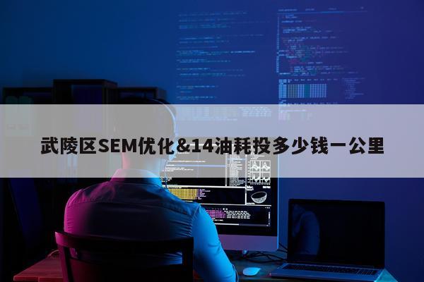 武陵区SEM优化&14油耗投多少钱一公里