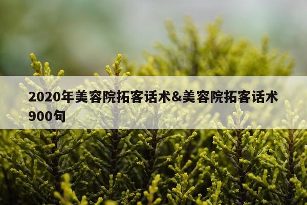 2020年美容院拓客话术&美容院拓客话术900句