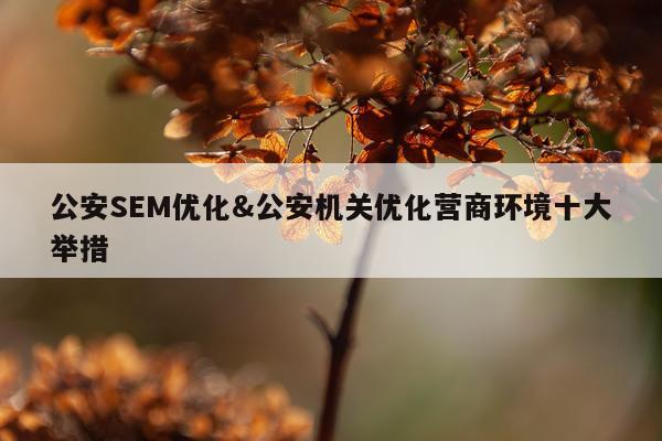 公安SEM优化&公安机关优化营商环境十大举措