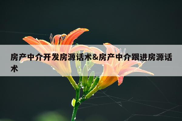 房产中介开发房源话术&房产中介跟进房源话术