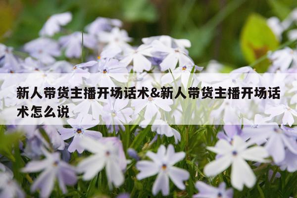新人带货主播开场话术&新人带货主播开场话术怎么说