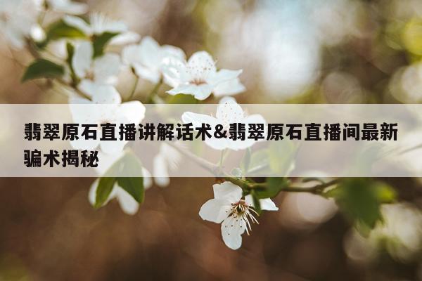 翡翠原石直播讲解话术&翡翠原石直播间最新骗术揭秘