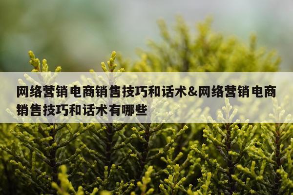 网络营销电商销售技巧和话术&网络营销电商销售技巧和话术有哪些