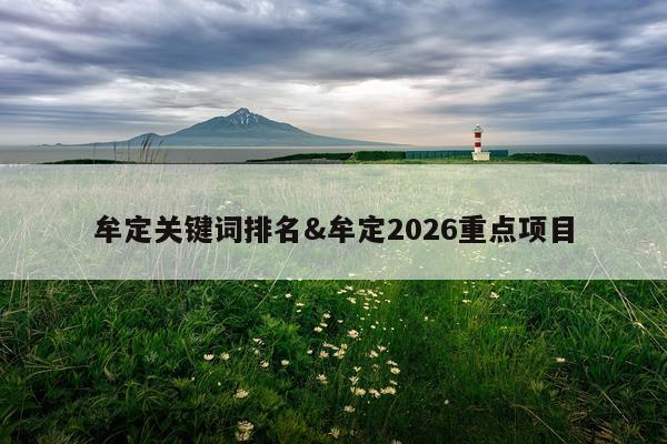 牟定关键词排名&牟定2026重点项目