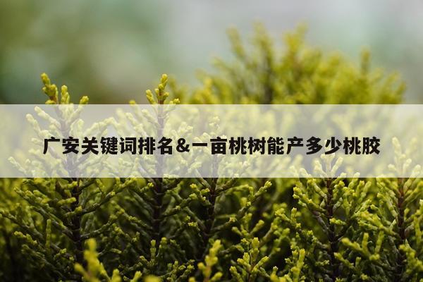 广安关键词排名&一亩桃树能产多少桃胶