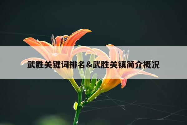武胜关键词排名&武胜关镇简介概况