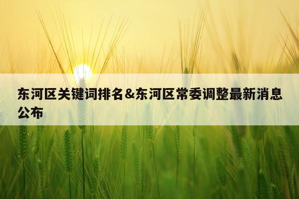 东河区关键词排名&东河区常委调整最新消息公布