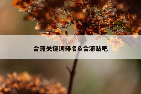 合浦关键词排名&合浦贴吧