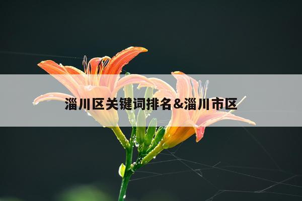 淄川区关键词排名&淄川市区