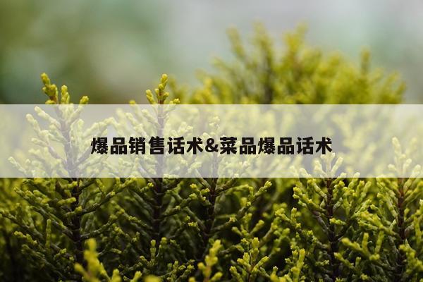 爆品销售话术&菜品爆品话术