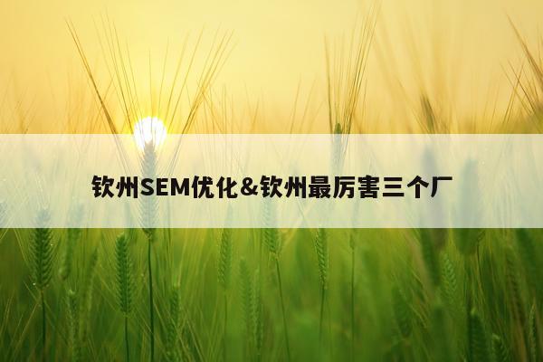 钦州SEM优化&钦州最厉害三个厂