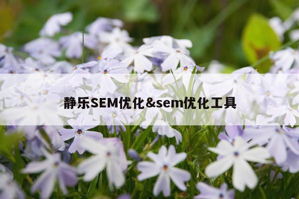 静乐SEM优化&sem优化工具