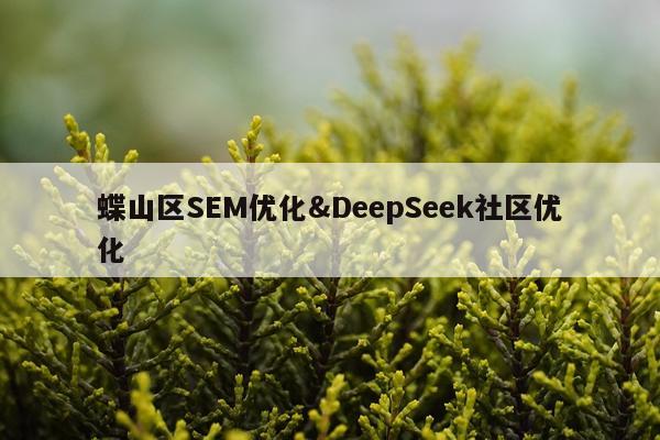 蝶山区SEM优化&DeepSeek社区优化