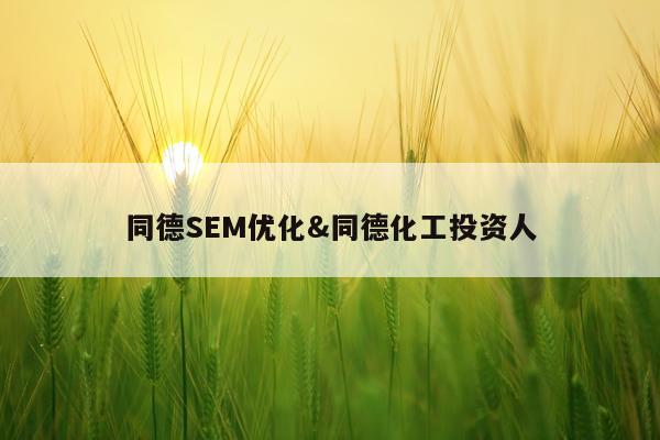 同德SEM优化&同德化工投资人