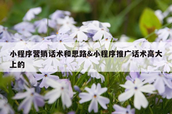 小程序营销话术和思路&小程序推广话术高大上的