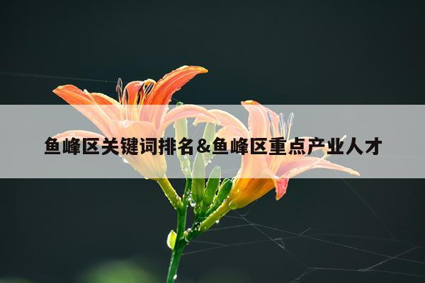 鱼峰区关键词排名&鱼峰区重点产业人才