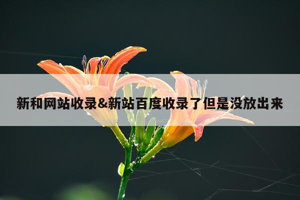 新和网站收录&新站百度收录了但是没放出来