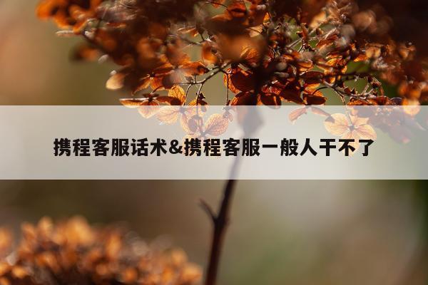 携程客服话术&携程客服一般人干不了