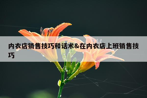内衣店销售技巧和话术&在内衣店上班销售技巧