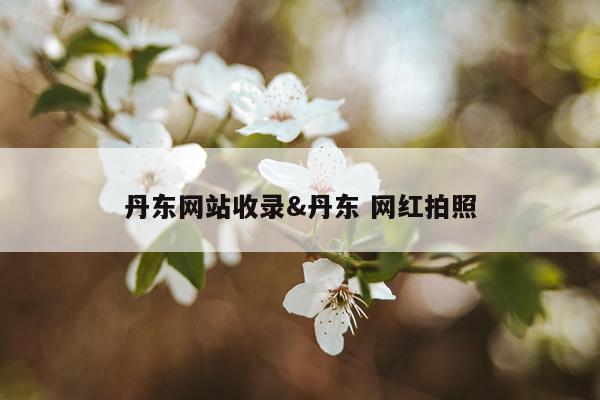 丹东网站收录&丹东 网红拍照