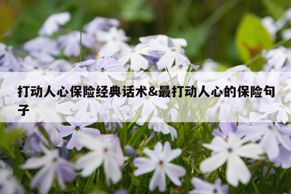 打动人心保险经典话术&最打动人心的保险句子