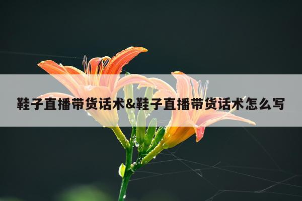 鞋子直播带货话术&鞋子直播带货话术怎么写