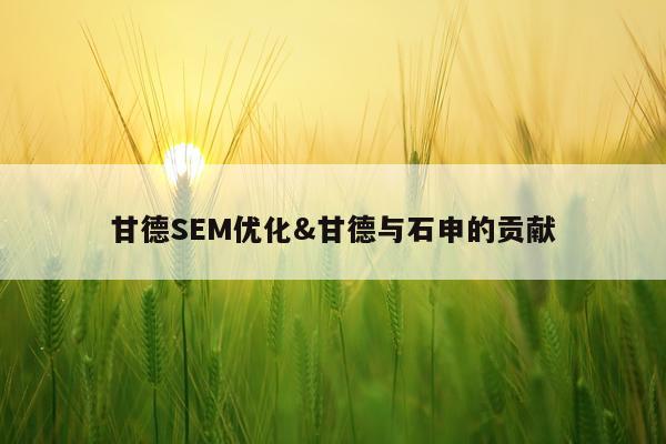 甘德SEM优化&甘德与石申的贡献