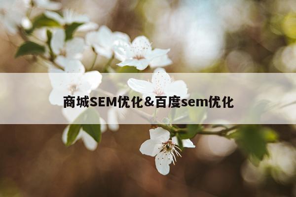 商城SEM优化&百度sem优化