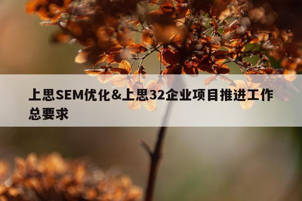 上思SEM优化&上思32企业项目推进工作总要求