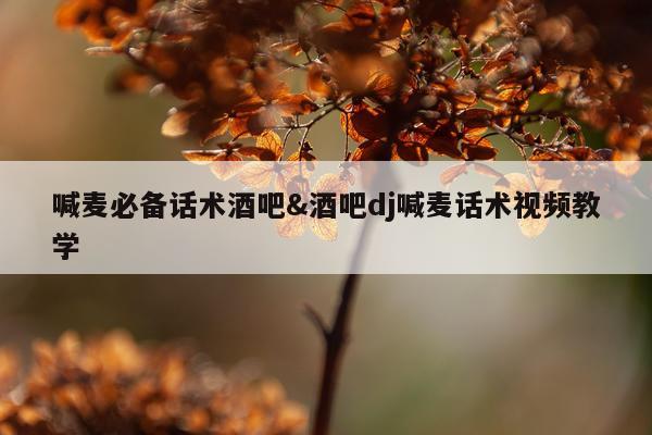 喊麦必备话术酒吧&酒吧dj喊麦话术视频教学
