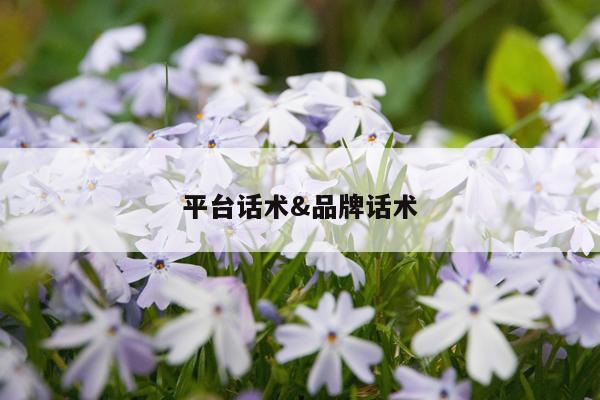 平台话术&品牌话术