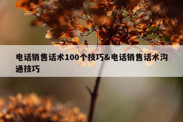 电话销售话术100个技巧&电话销售话术沟通技巧