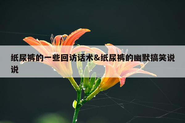 纸尿裤的一些回访话术&纸尿裤的幽默搞笑说说