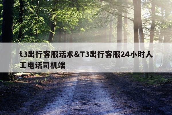 t3出行客服话术&T3出行客服24小时人工电话司机端