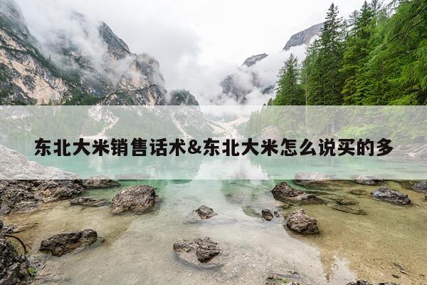 东北大米销售话术&东北大米怎么说买的多