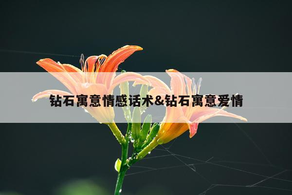 钻石寓意情感话术&钻石寓意爱情