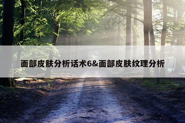 面部皮肤分析话术6&面部皮肤纹理分析