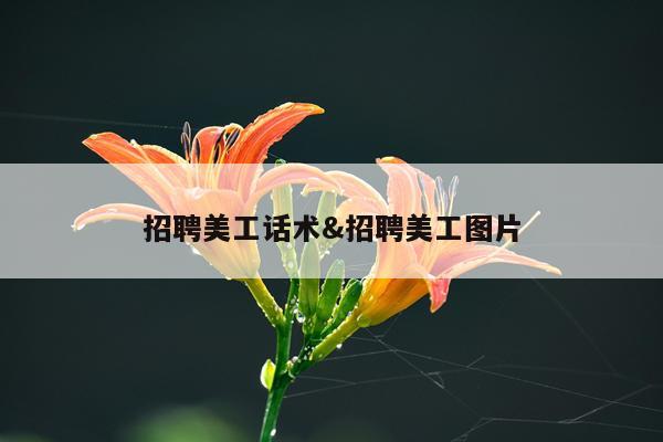 招聘美工话术&招聘美工图片