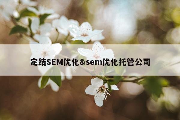 定结SEM优化&sem优化托管公司