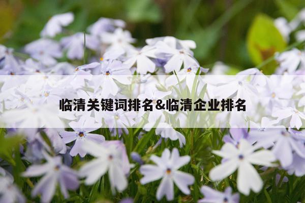 临清关键词排名&临清企业排名