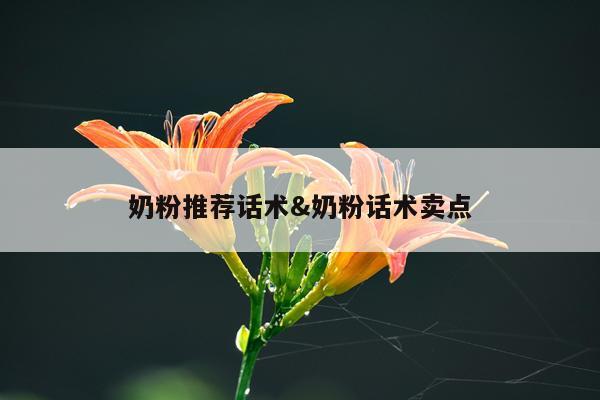 奶粉推荐话术&奶粉话术卖点