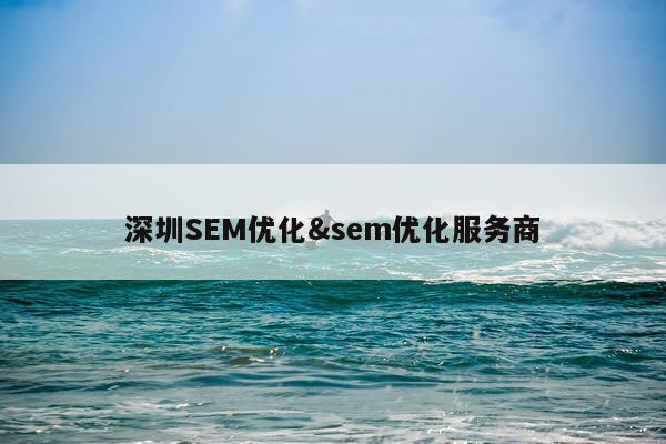 深圳SEM优化&sem优化服务商