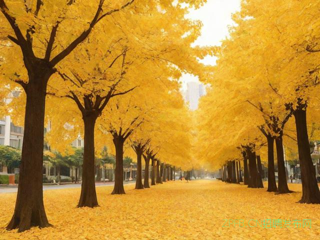 金秋9月深圳市区联动推87场招聘会,岗位多元助力求职